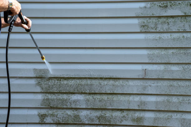 Best Shed Removal  in Athens, PA